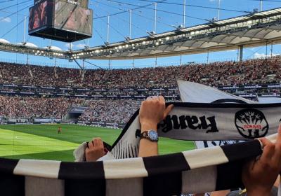 Pauli 25 H 004