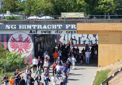 Pauli 25 H 011